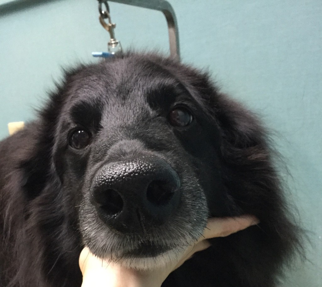 DE65648B-E7C4-4076-8D5B-2A2B24D7860A