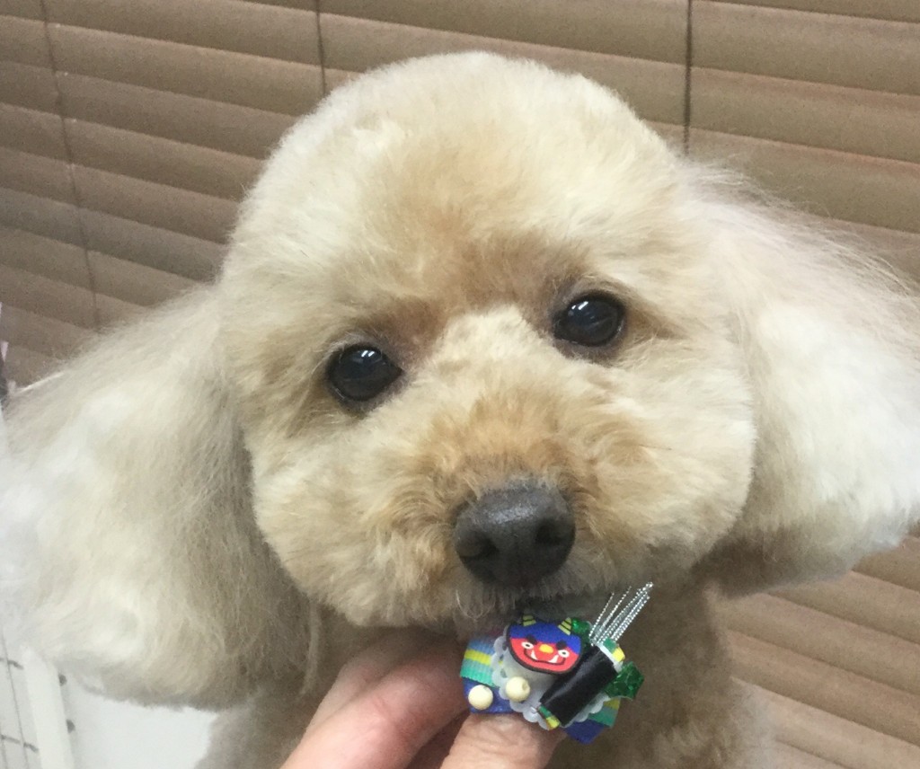 E2404BB5-81C7-4AAE-A732-3E60806A809A