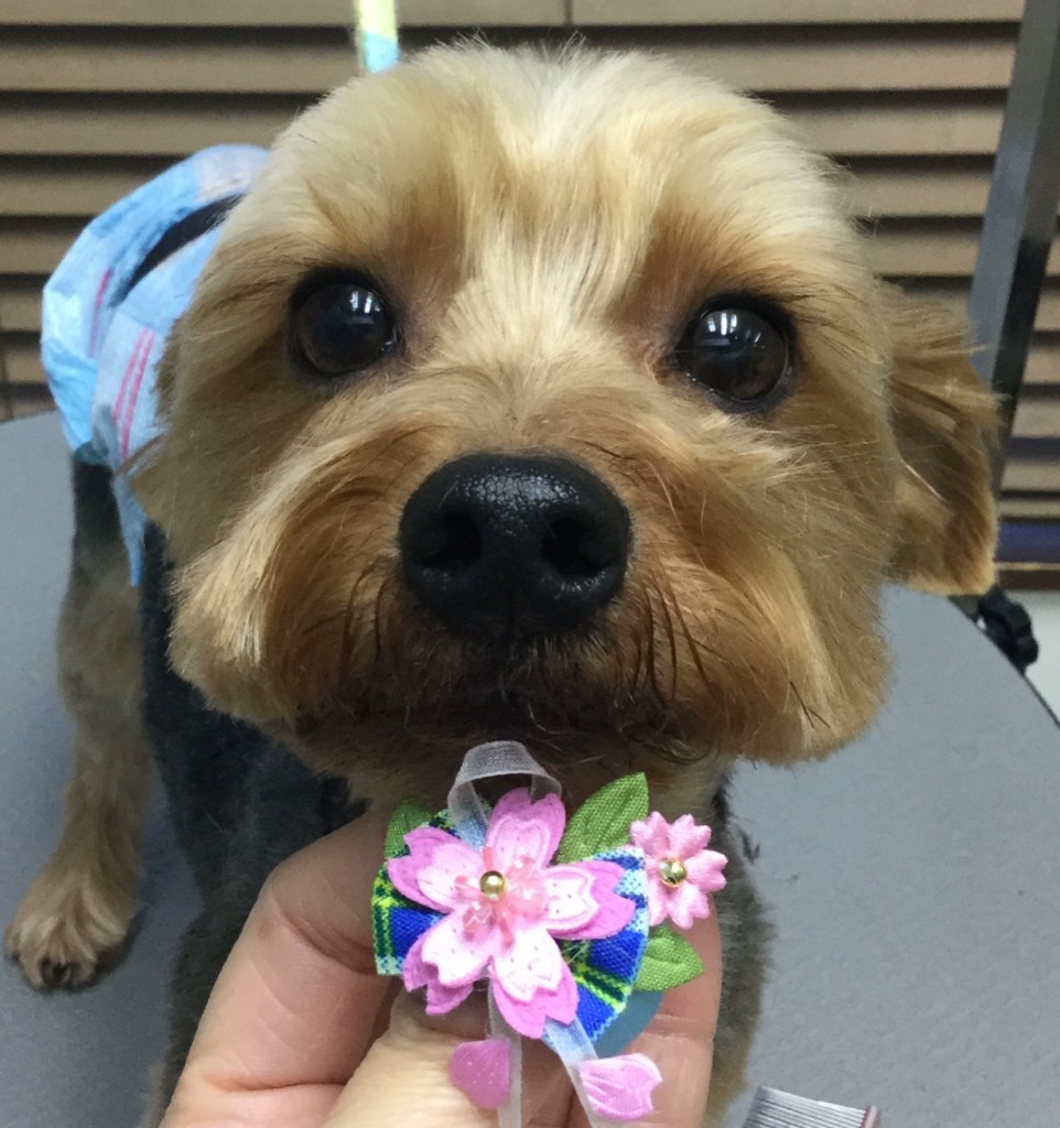 E499BB25-196A-4162-B2A0-8E7EE93C7E99