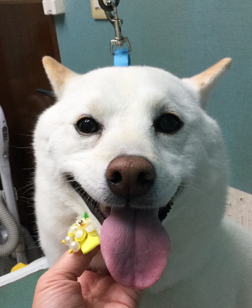 E84E93AF-7495-4F79-955A-153BE643C7BB