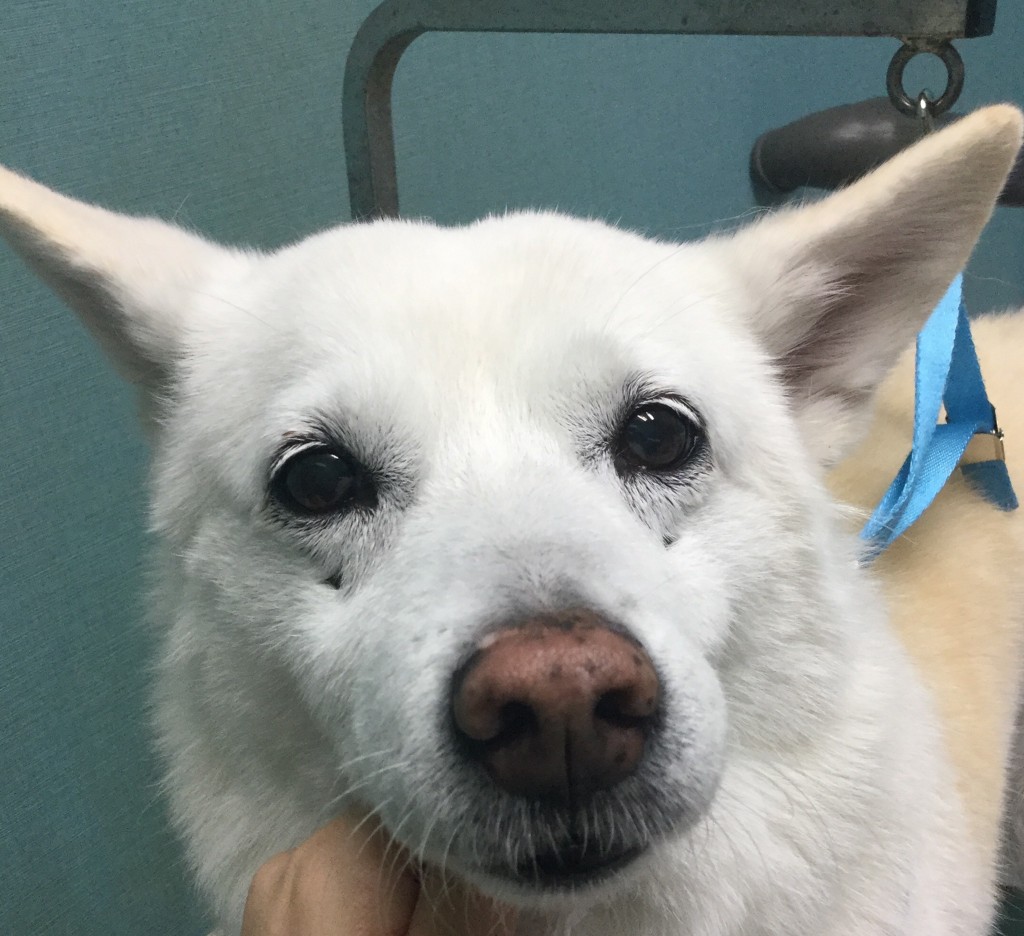 EADAC5F6-9542-44F8-BDCF-7082E33C130C