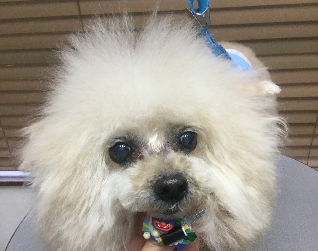 EB0B8958-4AF0-46CA-ADAC-EBC5B13DE8E5