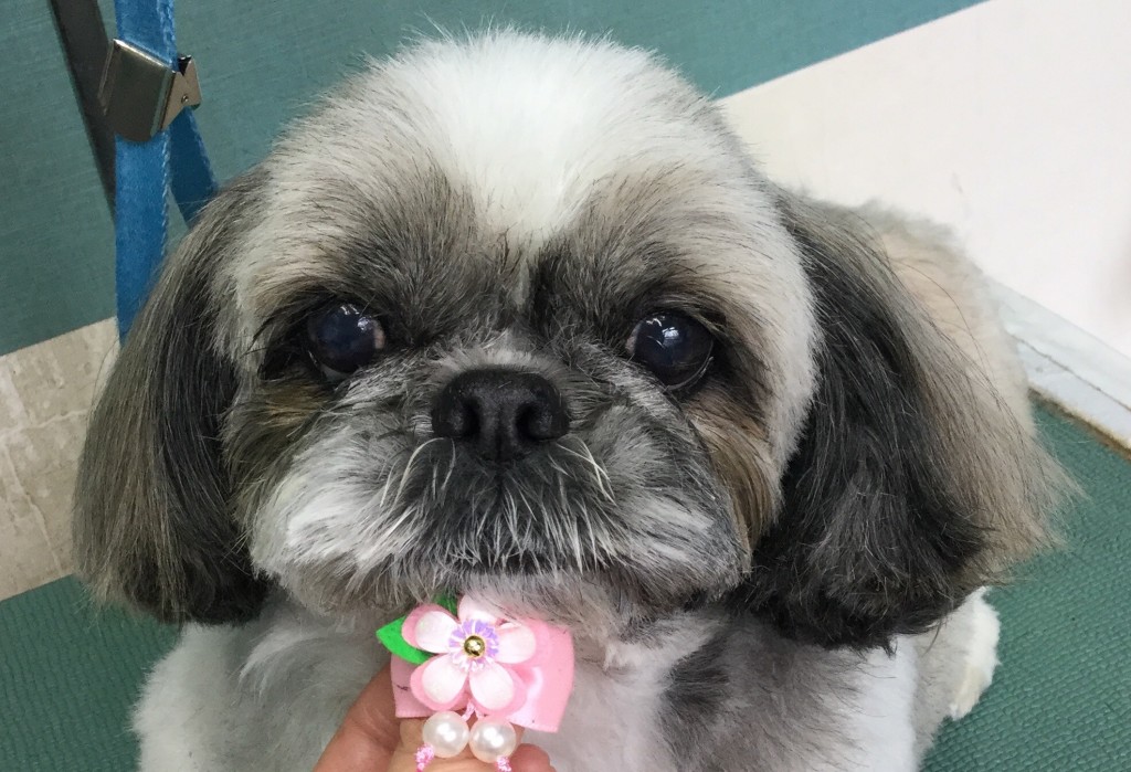 ECBB2FE6-FB4B-4860-90B5-3C96567737E5