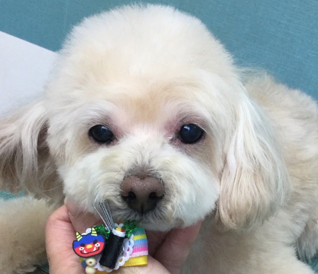 F16CAD92-54AD-4C0C-983C-6CCB31504081