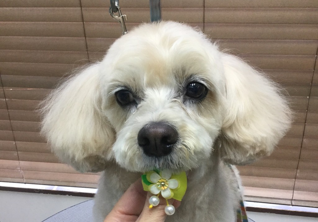 F5BE52F2-397F-475E-A2EA-0A850E59CF5A