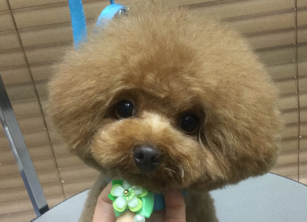 FC5DBB58-D223-4FEC-87EC-D7680B8A7472