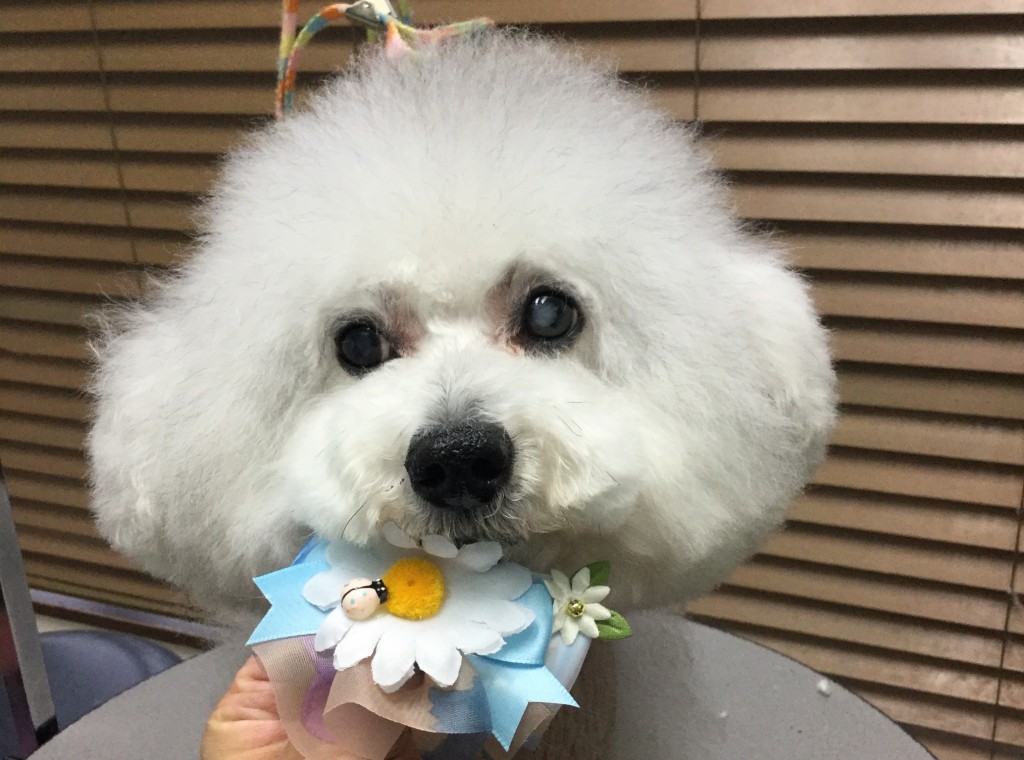 01FAD719-8354-47C8-99F5-D92D4B353375