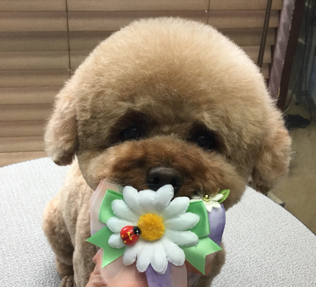 04F33674-F393-42A6-8CE6-6F3B1CD06962