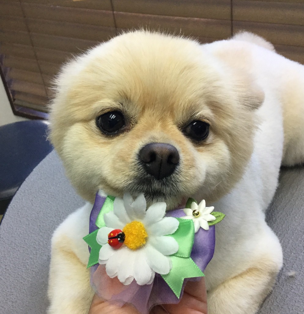 062B4E28-FCA6-4468-A4E8-07F784232ED0