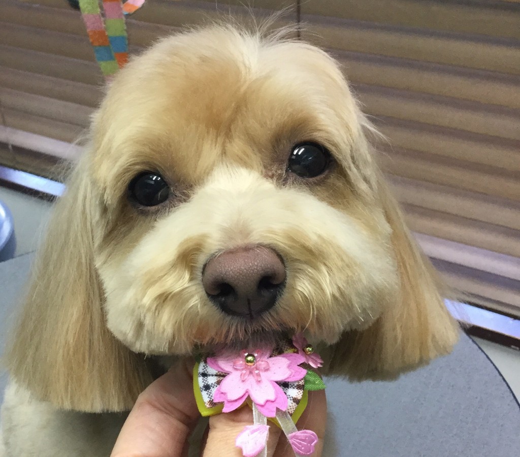 07409111-1BB8-405D-8762-83CC33AAD3AD