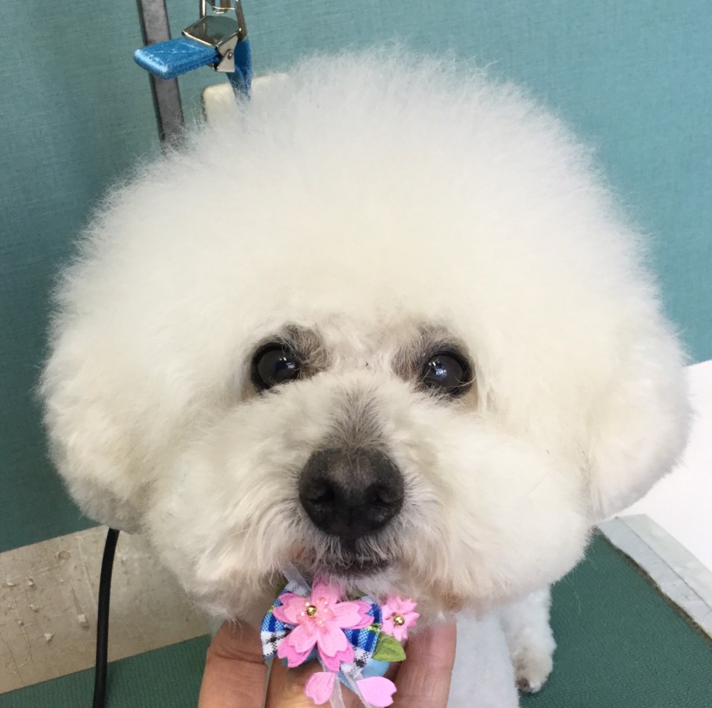 0E33C660-1085-4083-8E6E-D40B508E0E60