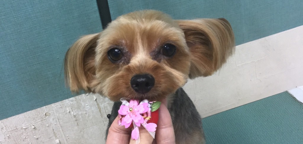 1ADB42D7-77A8-4407-8197-4A1F1739E625