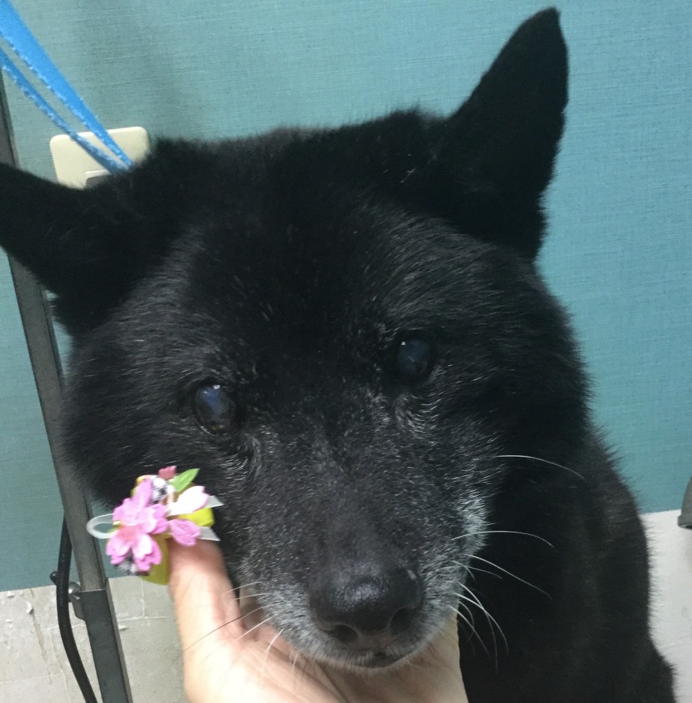 1F4C98D9-BAB4-4AF8-A751-E49E0F449858