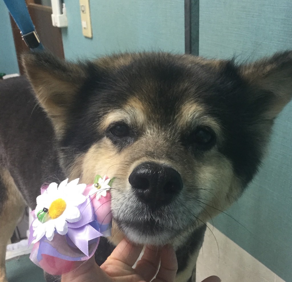 212347E0-FE1F-4E46-8EC1-8153829B03DD