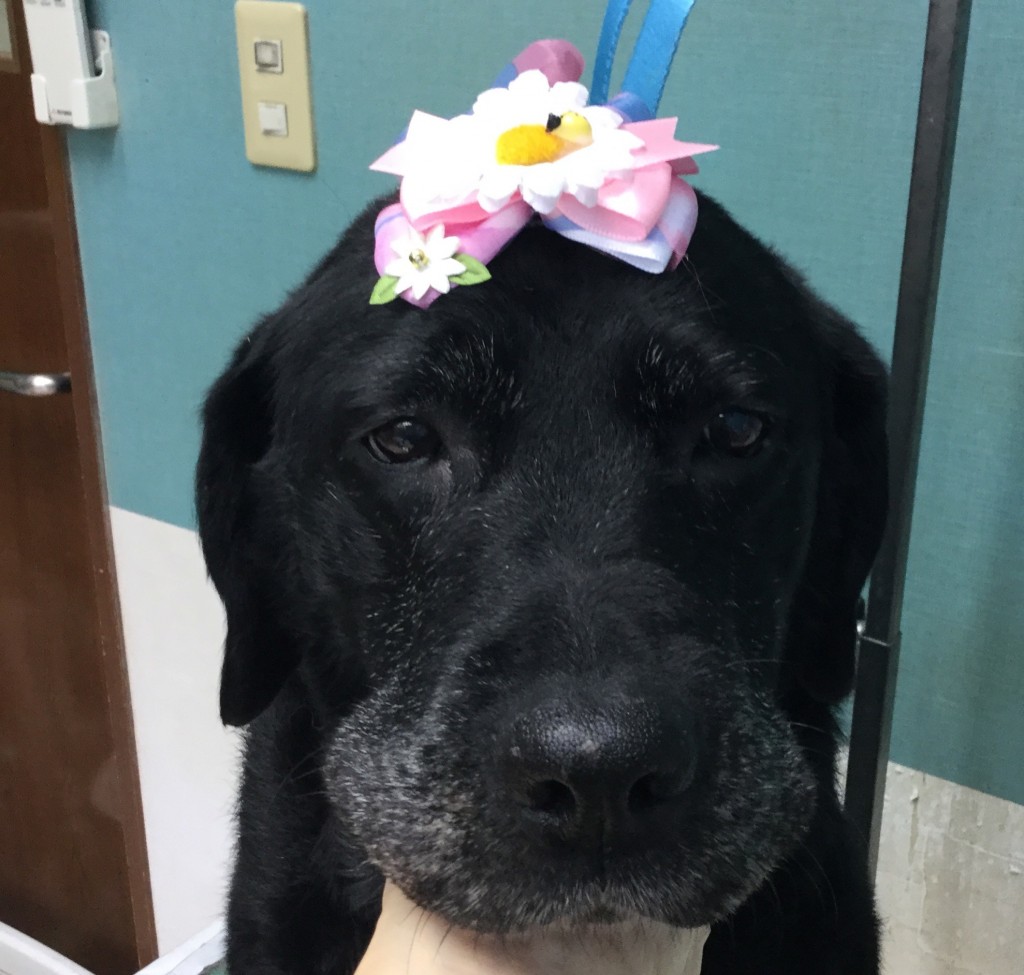 25784DD6-1346-4A5C-A323-5E4631CCAE8D