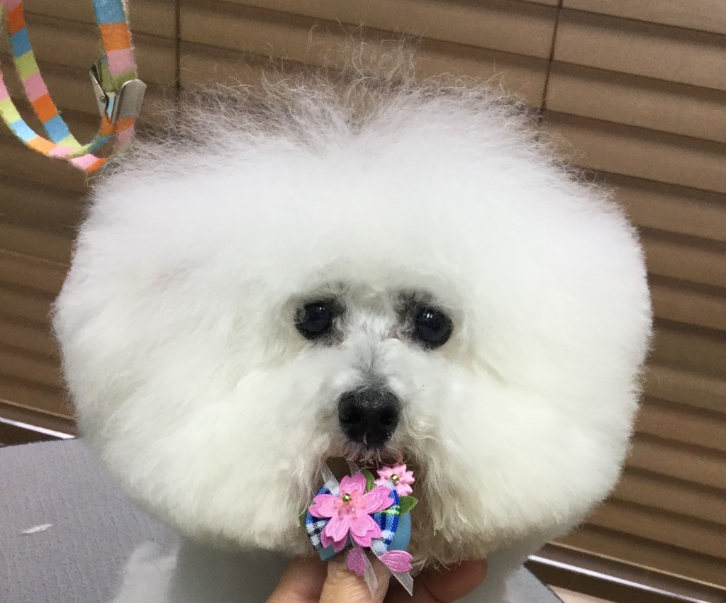 27555932-F607-4FF8-A73F-44F39170A06A