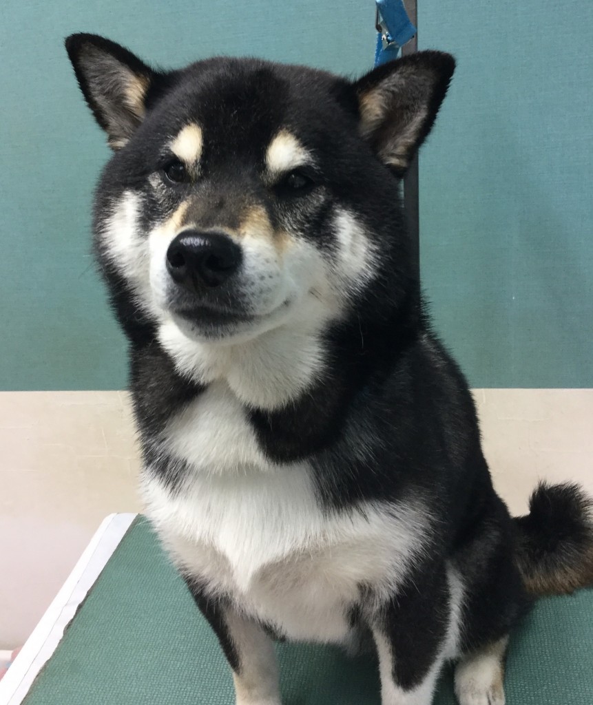 278726BE-FB41-42A0-8B24-79B8E5BFB2A2