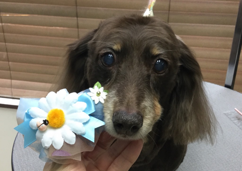 29320533-2F13-4AD9-BCC8-398FC5D40354