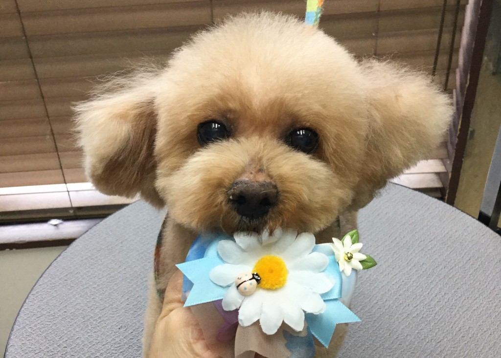 2C5C1F44-B85E-4CA5-8D72-67CEE0C54CE4