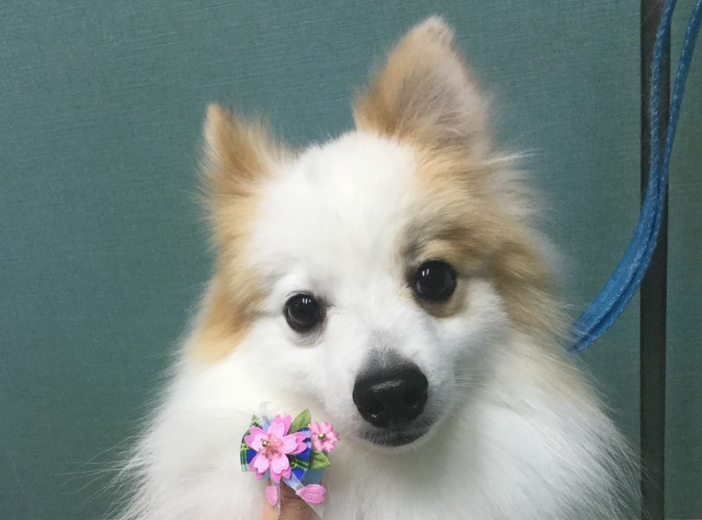 3DA0BC86-8194-495B-B806-0FDC6C18EFFC