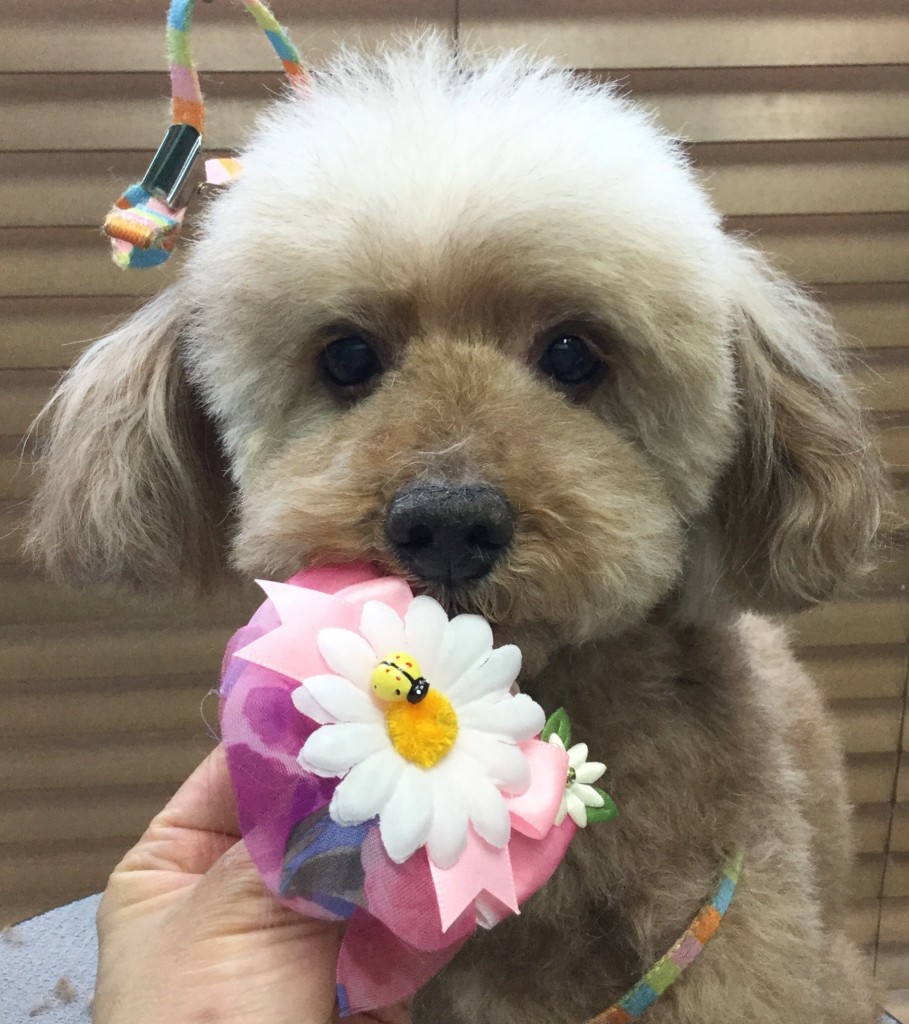 3E44D613-5F79-450F-B46F-C1821AC22879