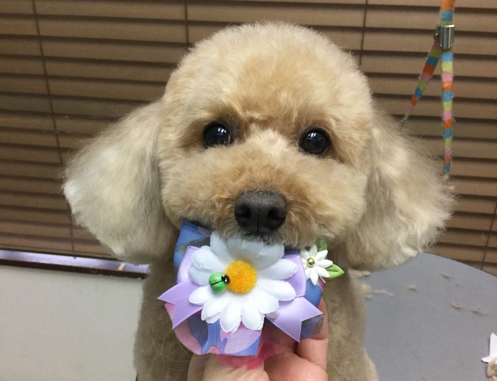 41286623-492C-4B15-9B9A-A969CA4F0832