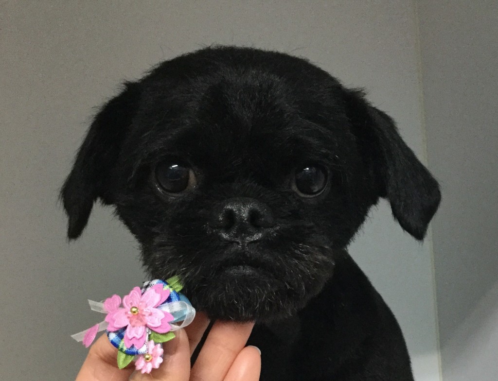 42796D26-9220-45CA-8AE3-D847F88D9895