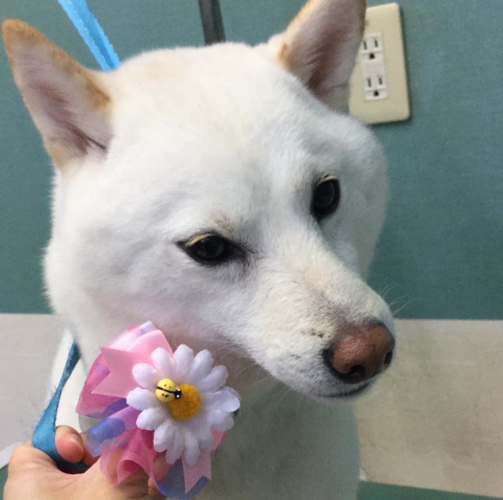 4624408F-3BA0-44AA-9B0A-A7DFF898C9F9