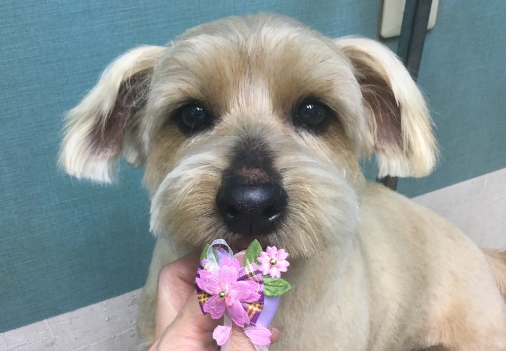 47DBF6CA-1796-4F3B-87DB-E11B8DABE176