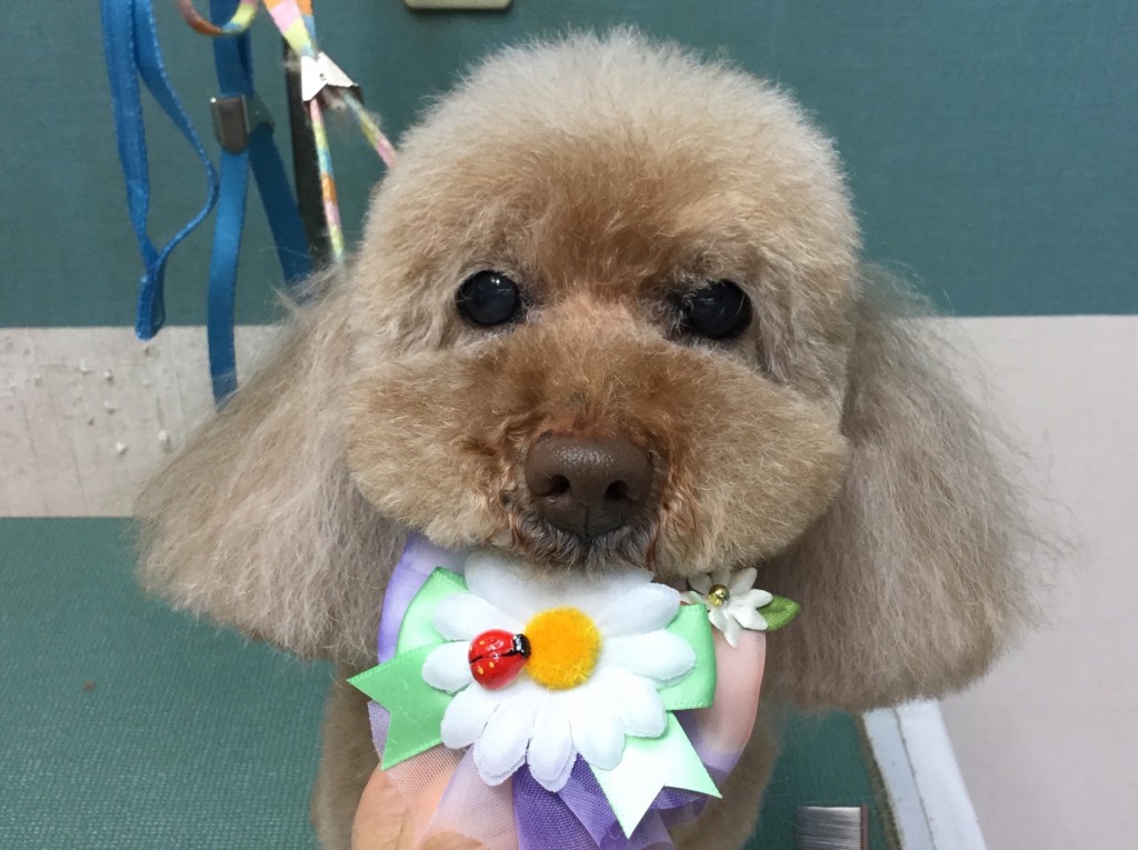 494E07F0-7902-4946-BB27-1A184657CA51