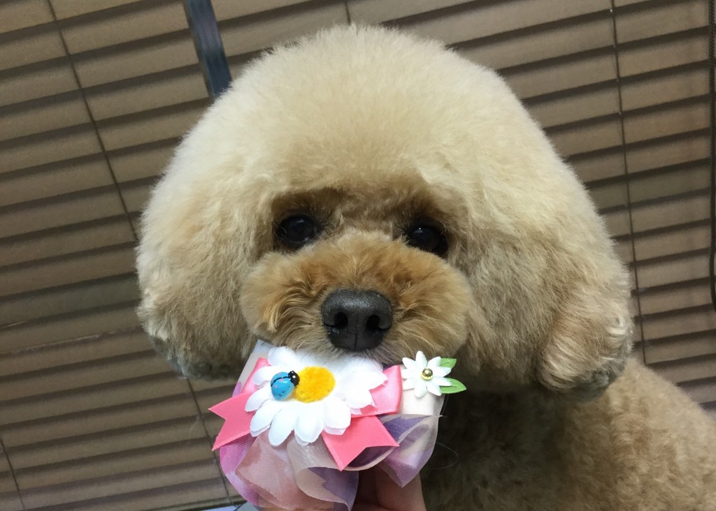 4A61C94C-3A11-4659-8A96-0B7A45C11C41