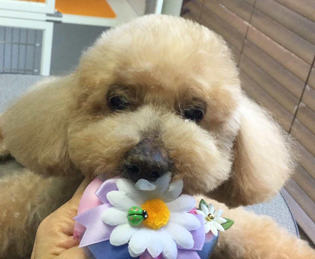 4F0949CA-D8E7-4E82-98C2-93882468FC43