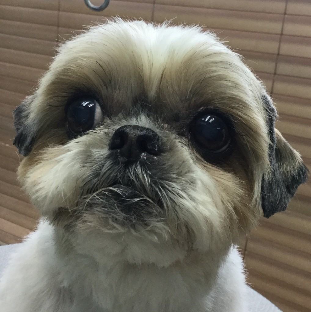 52CABCFB-982A-4DCB-8B41-531166AA49E6