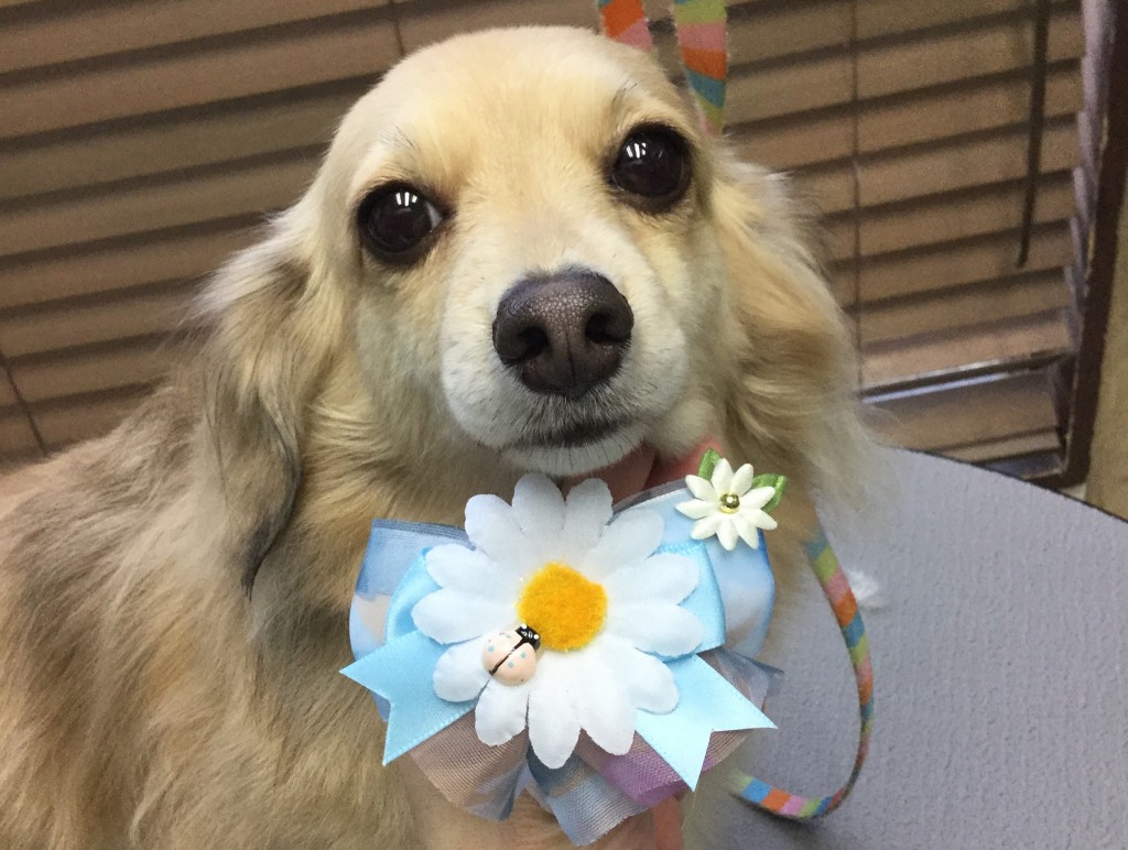 554E9FBC-3453-4BE5-984B-51ADD825582E