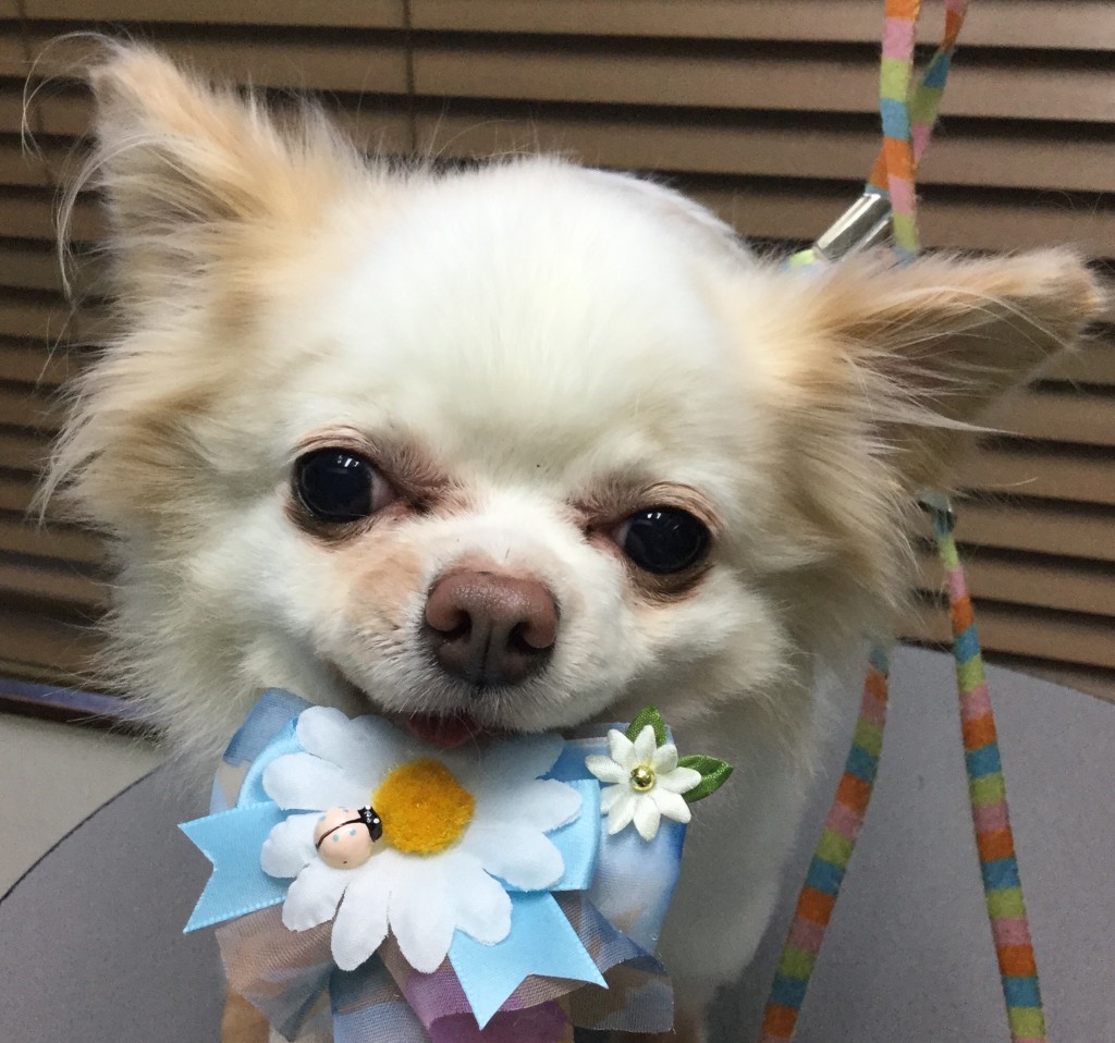 5814F8FB-5EAD-41C6-BA90-54A203C1860A