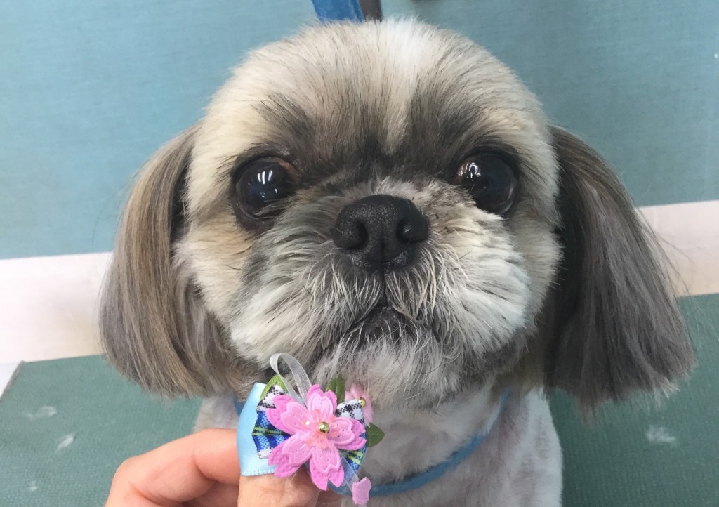 5DB3FC5B-E8BD-450F-8A55-78CAB334C740