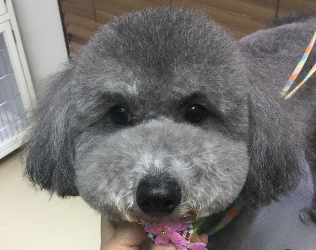 5F308161-7395-40A9-A41C-204DCA243A84