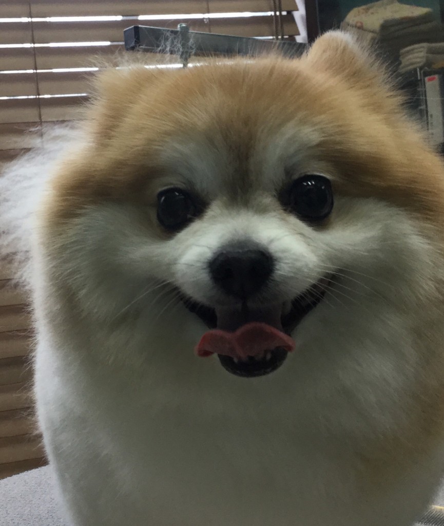 608282EA-F21B-41CE-8E22-535EED38CD58