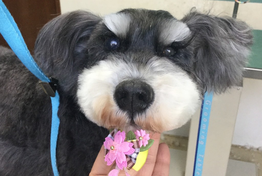 64F4B4C5-814F-4ABD-A4C7-7749D4F6E5ED