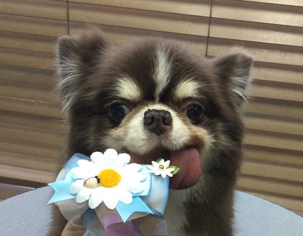 6C8CEF23-FDD9-4682-BDA5-D16767C43FD3