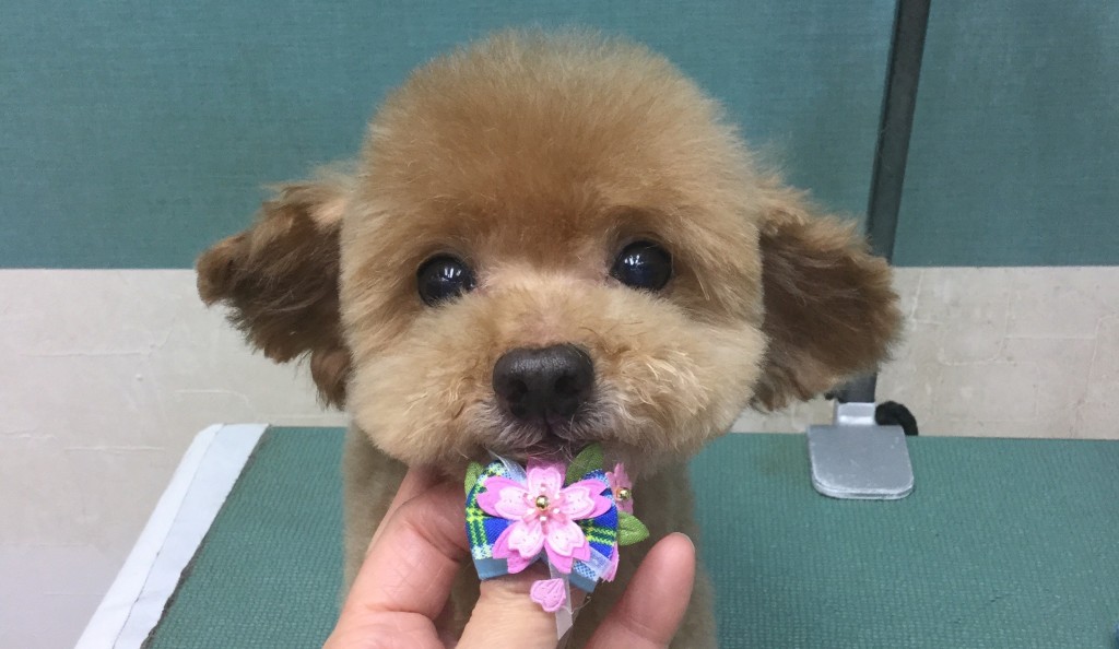 6CAE1EEB-3AC6-473F-9281-8B9932934186