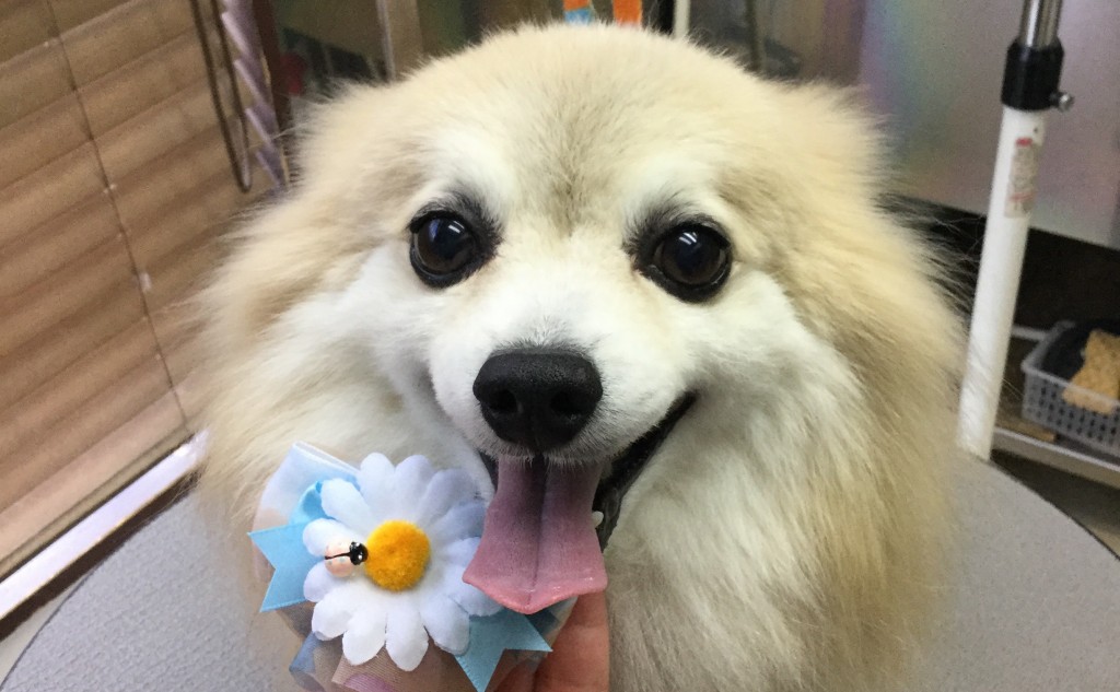 6EC0BF8A-1583-4917-BD73-4A1F5024F22C