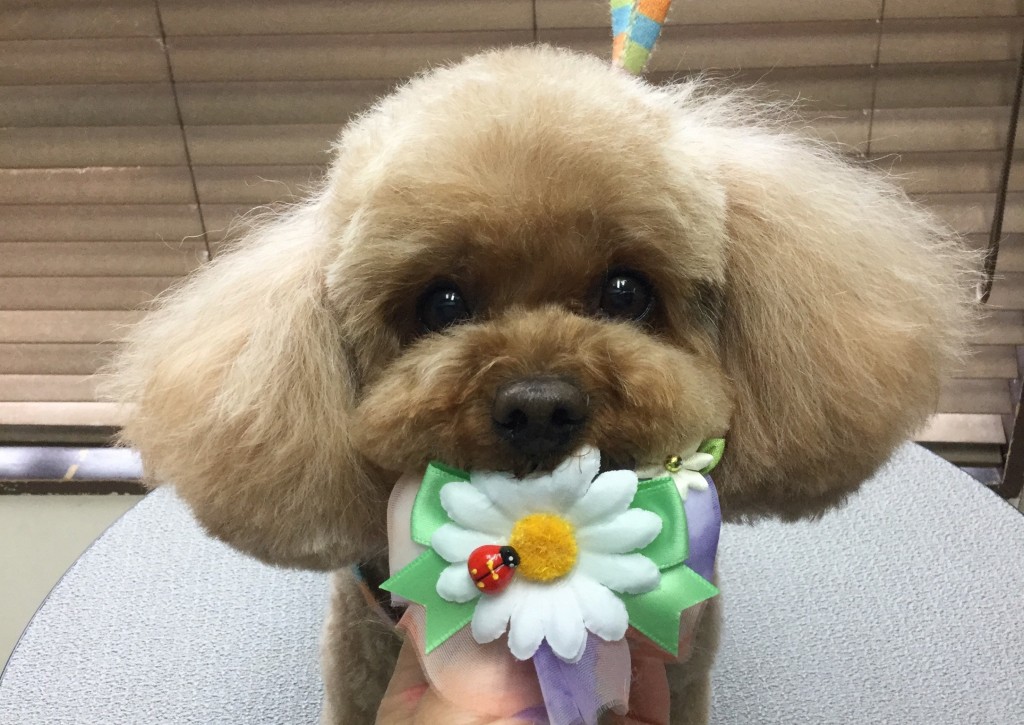 794FB23B-DD65-425E-8341-4B14EA27F9C0