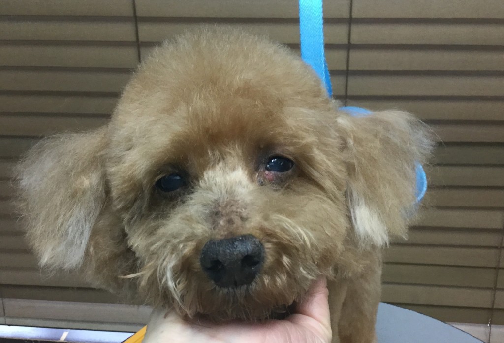 7EF69B56-2763-4D99-851C-FEDD465054A0