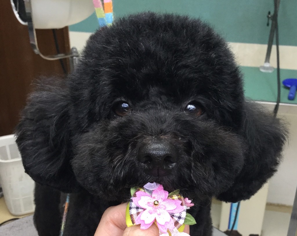 8B718725-A660-4CC8-87F5-785385AF392F