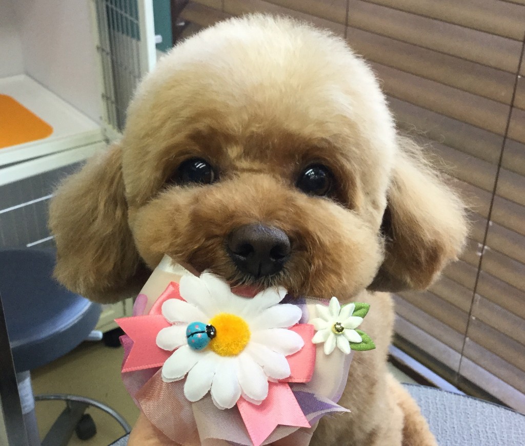 8C94B82A-7778-42B8-B62C-D8DF40F67725