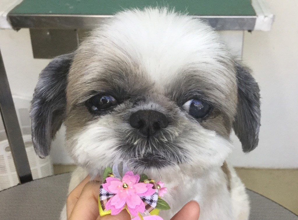 8D32BEDF-8955-4F9D-A15A-0595F14E5E69