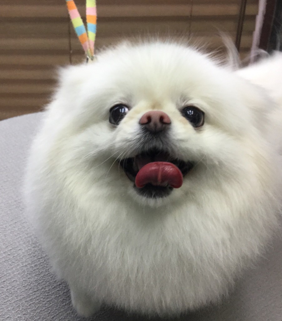 945B32D8-C70B-421F-841E-60A34B3DD1B9