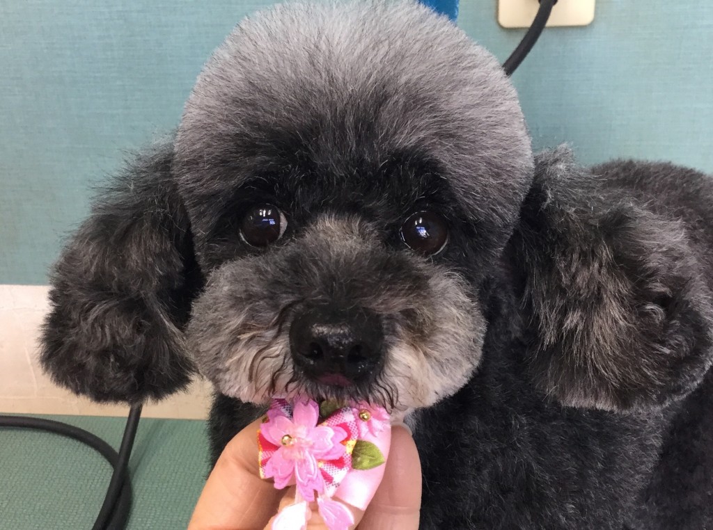 96799D43-CF1A-40F3-80F7-26590865F848