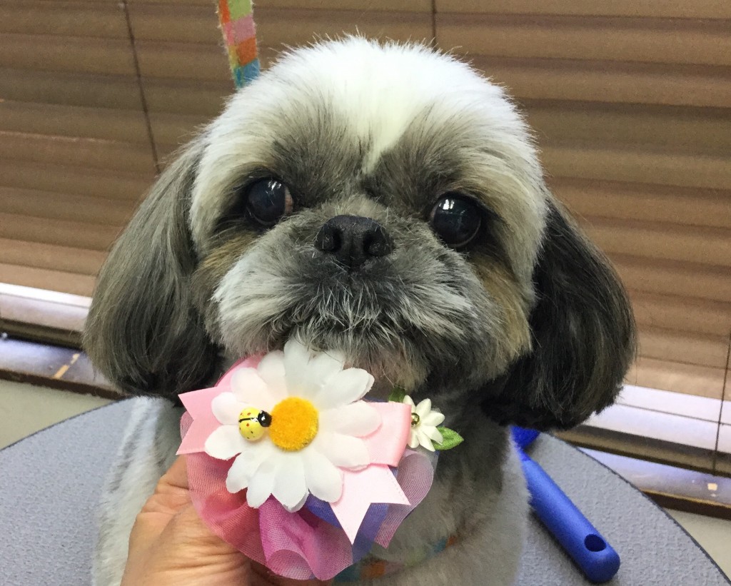 977D673E-5DD5-492E-B470-CF8433A0B6B3